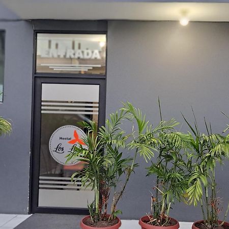 Hostal Los Lirios Лоха Екстериор снимка